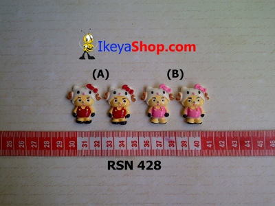 rsn 428  large2